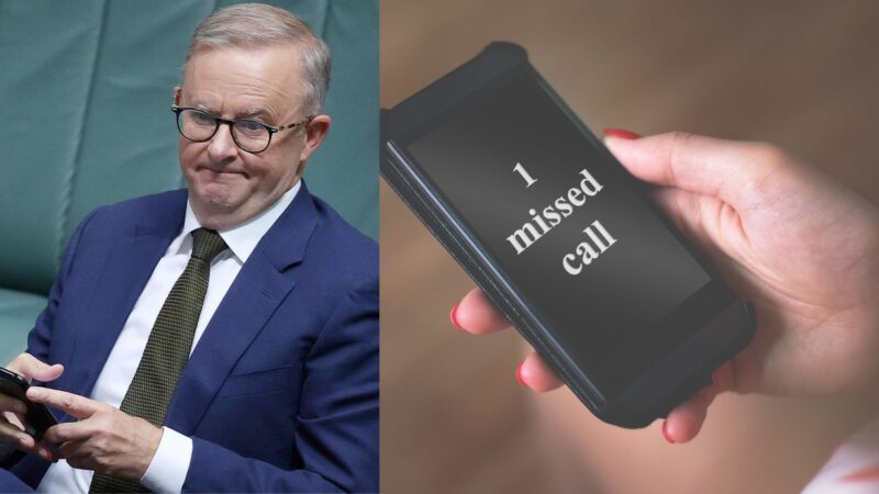 Prime Minister Albanese’s Desperate Plea: “Taylor Swift, Call Me Maybe?”